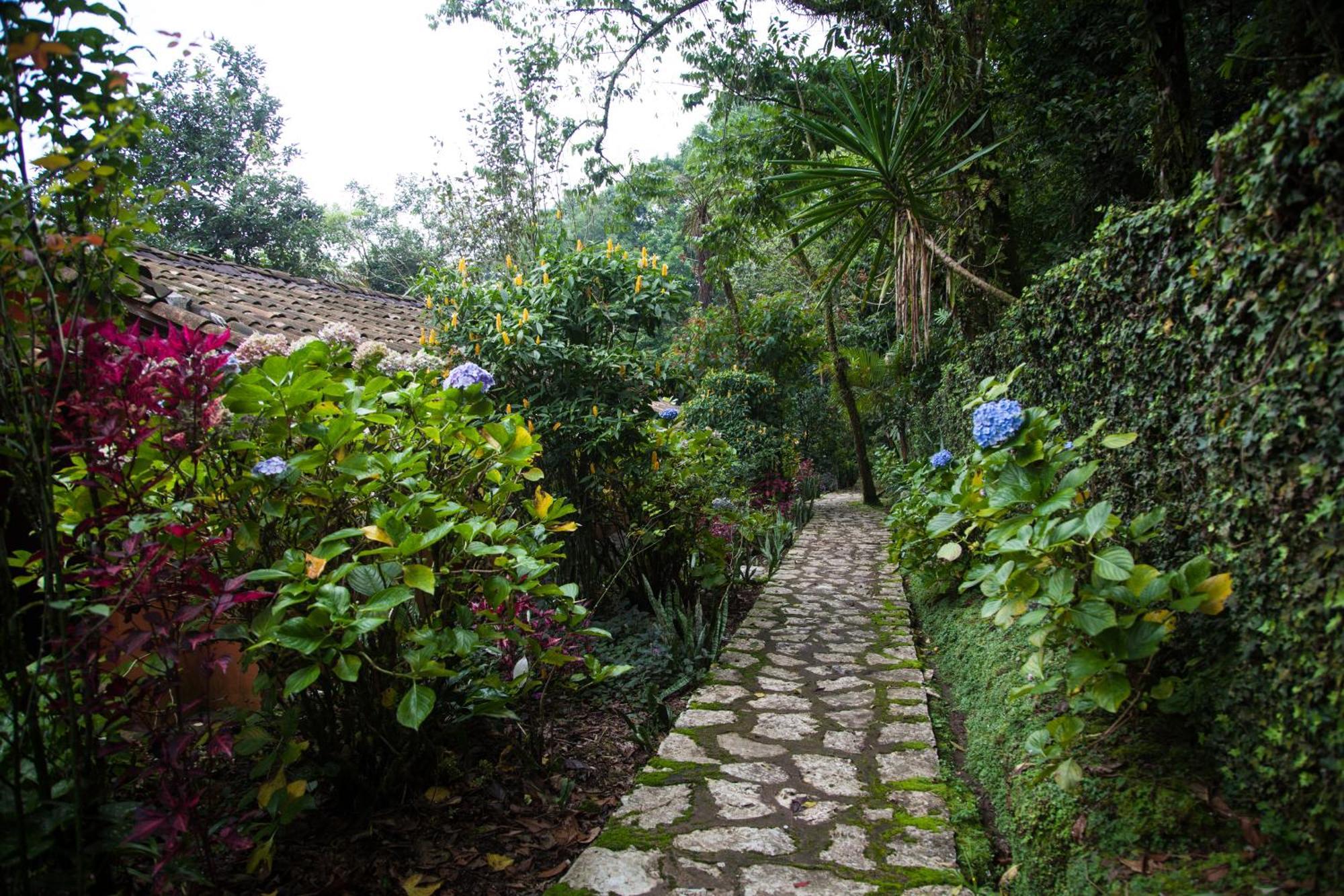 Hotel Taselotzin Cuetzalán del Progreso エクステリア 写真